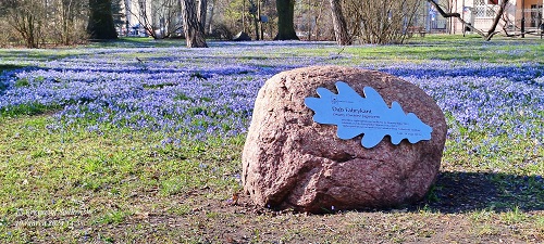 Park Klepacza w Łodzi na niebiesko. Foto. Krzysztof Sadłowski 19.03.2024.