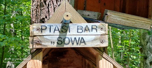 Ptasi Bar Sowa Rezerwat Przyrody Las Łagiewniki. Foto: Krzysztof Sadłowski 2023.